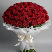 Букет 101 Красная роза Блэк Мэджик в Новую