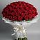 Букет 101 Красная роза Блэк Мэджик в Новую