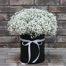 Цветочная композиция из Гипсофила в шляпной коробке в Новую